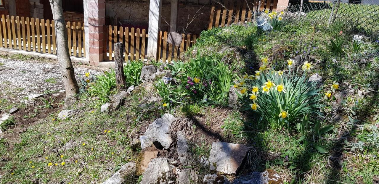 Mirni Kutak Villa Donje Pazariste ภายนอก รูปภาพ